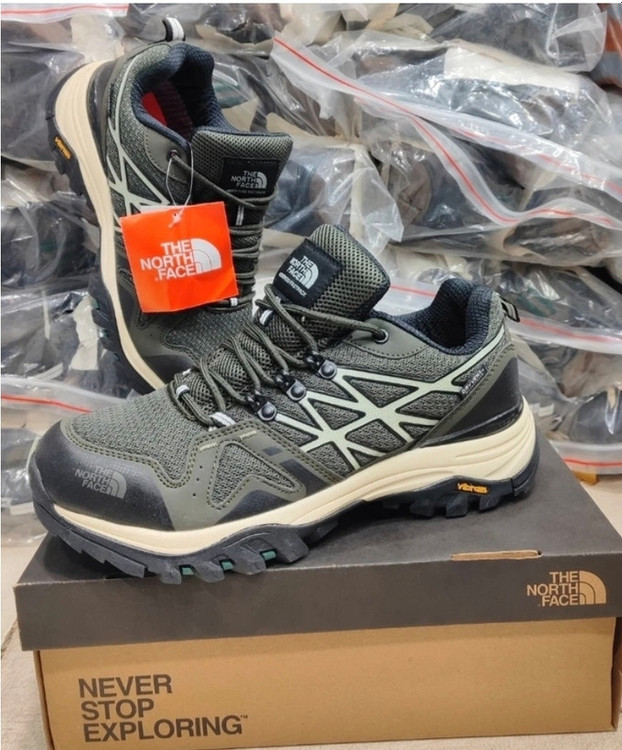 کفش طبیعت گردی نورث فیس