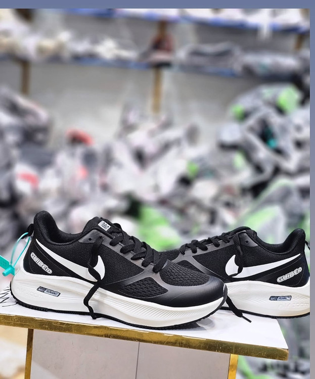 نایک گاید ۱۰