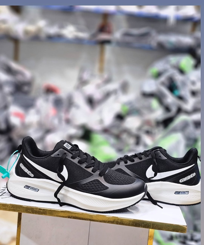 نایک گاید ۱۰