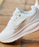 نایک ویتنامی