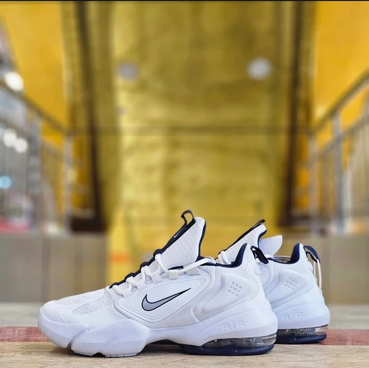 کفش ویتنامی