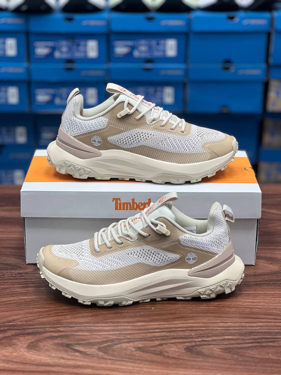 کفش تریل رانینگ تیمبرلند